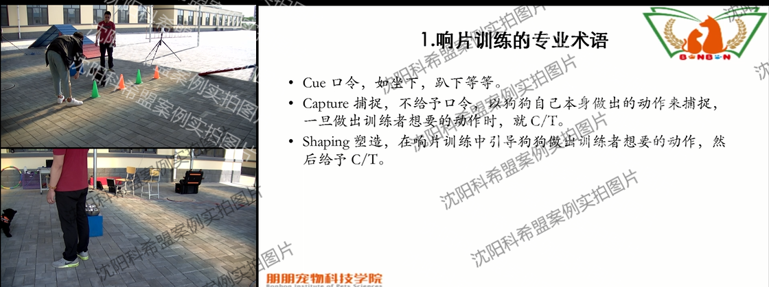 辽宁农业职业技术学院宠物专业